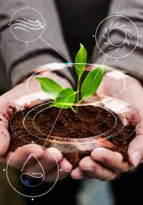 Hero image showing agricultural investment opportunities